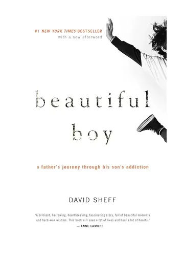 Beautiful Boy by David Sheff