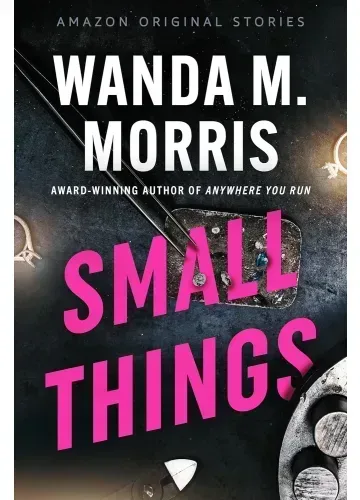 Small Things (Alibis Collection, #6) by Wanda M. Morris