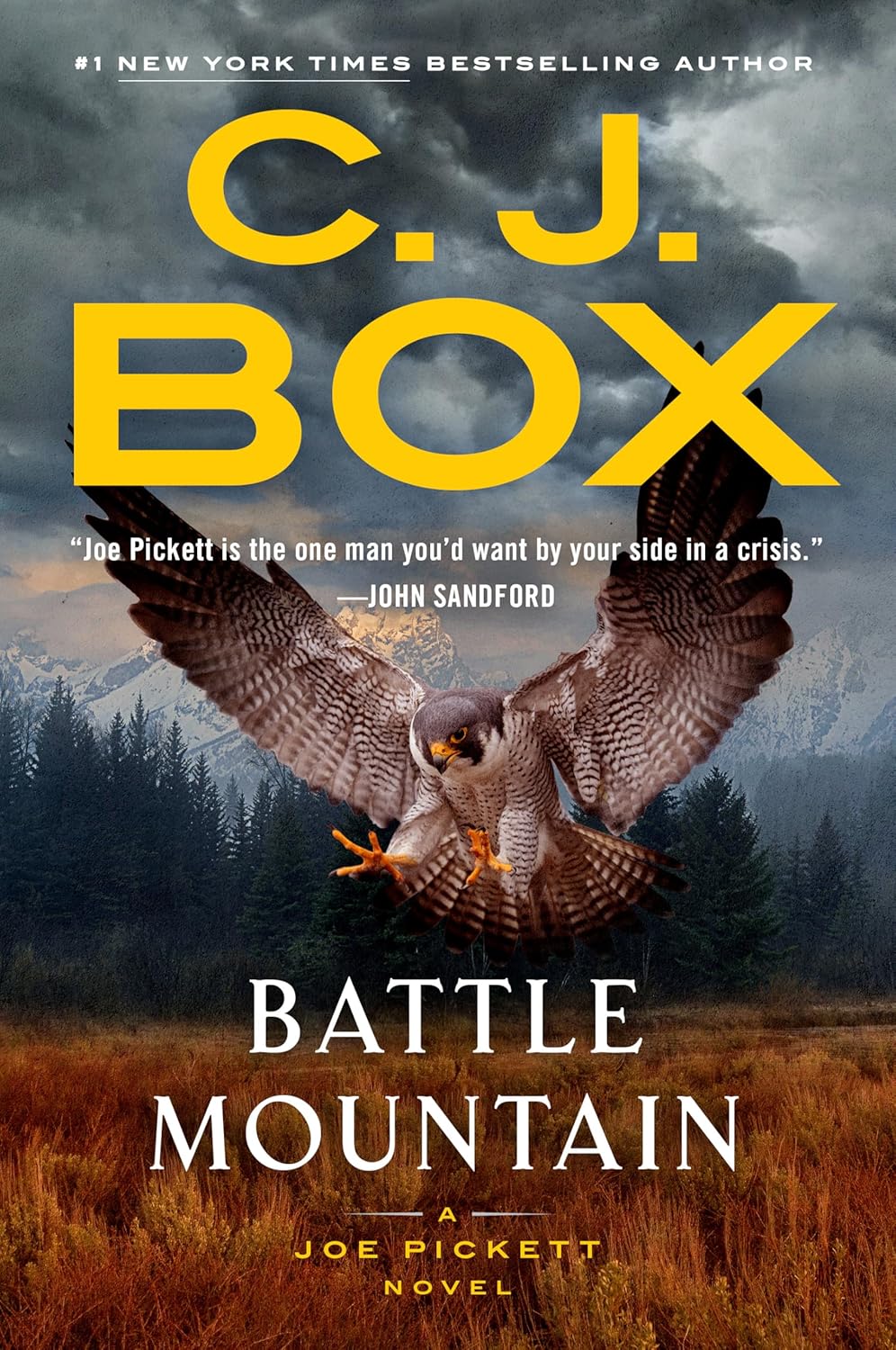 Battle Mountain (Joe Pickett, #25) by C.J. Box