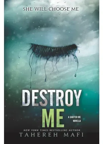 Destroy Me (Shatter Me, #1.5) by Tahereh Mafi