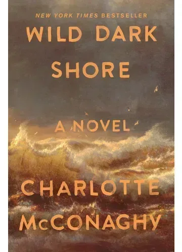 Wild Dark Shore by Charlotte McConaghy