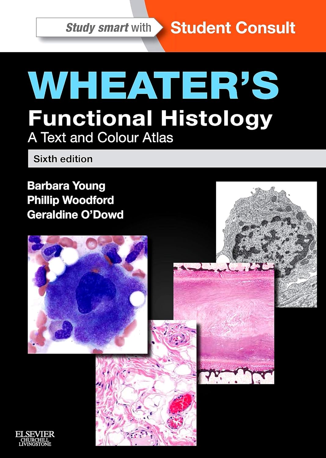 Wheater's Functional Histology by Barbara Young, Phillip Woodford, Geraldine O'Dowd